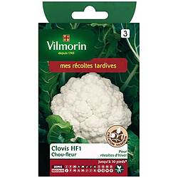 Vilmorin Sachet graines Chou fleur Clovis HF1 