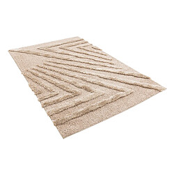 Acheter Hadorn Tapis shaggy 245x160 brun Thun Avis