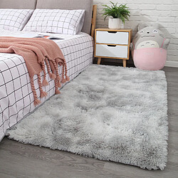 LUUCOZK Tapis à poils longs doux et moelleux pour chambre à coucher et salon - Gris clair-120x160CM 