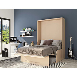 Inside 75 Armoire lit escamotable SOFA AUTOMATICA 160 cm taupe canapé gris MECANIQUE SEDAC MERAL pas cher