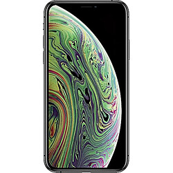 Apple iPhone XS Max 64 Go Gris Sidéral