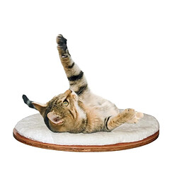 KERBL Planche murale ovale Dolomit pour chat - 50x35x1,5cm