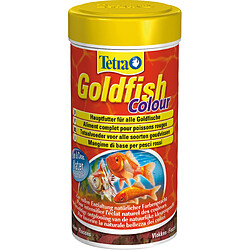 Tetra Goldfish Gold Colour 