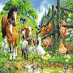 Avis Ravensburger 10689 Puzzles Animaux Rassemblement