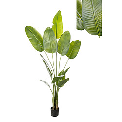 Plante décorative Romimex Strelitzia Plastique 110 x 210 x 70 cm 