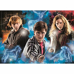 Ludendo Puzzle Harry Potter 500 pièces