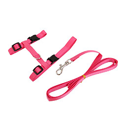 Réglable Chat Nylon De Ceinture Laisse Collier Harnais De Sécurité Sangle Corde Rose