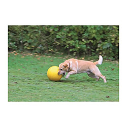 KERBL Balle de jeu Ø30cm - Jaune - Pour chien