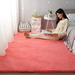 LUUCOZK Tapis moelleux en fausse fourrure, tapis à poils longs pour chambre à coucher, salon, rose-60x90 cm