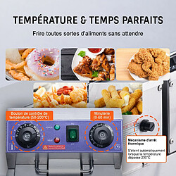 Avis Friteuse Électrique Commerciale Friteuse à Huile 2 Cuves Acier Inox 12L 6000 W - Pour Restaurants Supermarchés Fast-foods Snack-bars