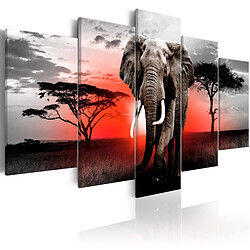 Decoshop26 Tableau toile de décoration murale impression premium en 5 parties sur châssis en bois motif Éléphant solitaire 100x50 cm 11_0015018