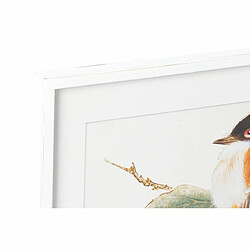 Avis Cadre DKD Home Decor Oiseau (60 x 2,5 x 60 cm) (4 Unités)