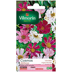 Vilmorin Sachet graines Cosmos Aldebaran