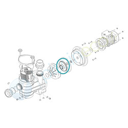 JARDIéco Turbine Ø 99 x 9 pour pompe Série HGS050 - Hydroswim