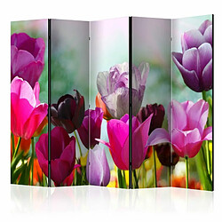 Paris Prix Paravent 5 Volets Beautiful Tulips 172x225cm 