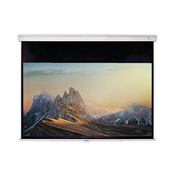 Celexon Ecran de projection manuel DELUXX Expert Slowmotion 16:9 Blanc Mat Polaro 234 x 132