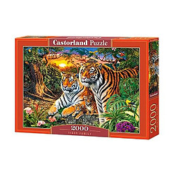 Puzzle 2000 pieces Family of tigers 