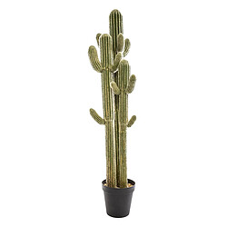 Atmosphera, Createur D'Interieur Cactus 3 Troncs 123 cm - Atmosphera 