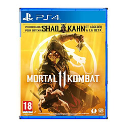 Warner Games Mortal Kombat 11 Jeu PS4