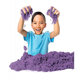 Acheter Spin Master Kinetic sand vivid colors purple