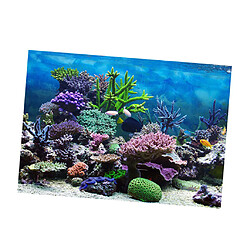 Décoration aquarium