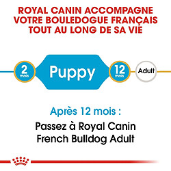 Acheter Royal Canin Race Bouledogue Français Junior