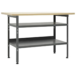 Helloshop26 Etabli table de travail poste de travail stockage rangement d'outils banc d'outils avec 2 etagères garage atelier 120 cm acier gris 02_0003676 