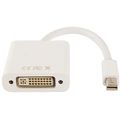 Wewoo Pour Macbook Mini Display vers DVI 24 + 5 Adaptateur