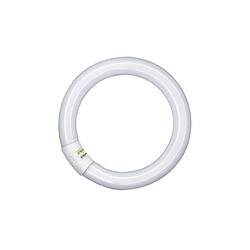 tube fluorescent circulaire - osram lumilux t9 c - 40 watts - g10q - 4000k