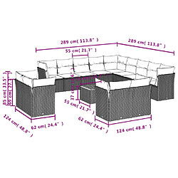 Avis vidaXL Salon de jardin avec coussins 14 pcs noir résine tressée