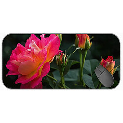 Universal (750x300x3) grand tampon de souris de jeu avec couture de bord, tapis de souris de fleur rose rose rose rose