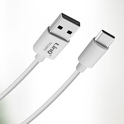 Câble USB vers USB type C Charge et Synchro Fast Charging 5A 3m LinQ Blanc