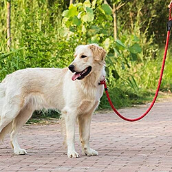 Universal Plomb glissant pour chien, 125cm extrêmement résistant corde de laisse d'entraînement pour chien puissant corde réglables pour animaux de compagnie pour chien, rouge