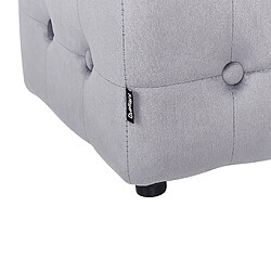 Acheter Beliani Pouf en velours 36 x 36 cm gris WISCONSIN