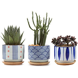 BESTA Pots de Plantes Succulentes avec Plateau en Bambou - Lot de 3 Pots de Plantation Cylindriques en Céramique Japonaise avec Trous de Drainage - Pots pour Plantes Succulentes, Petits Cactus, Herbes 