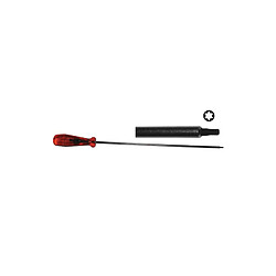 TOURNEVIS TORX EXTRA LONG 300 M/M TX10 TOURNEVIS TORX EXTRA LONG 300 M/M TX10 pour OUTILLAGES - 8698349