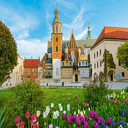 Puzzle 500 pieces Wawel Castle in Krakow, Poland