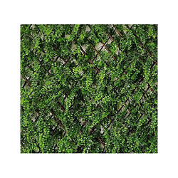 Avis Jet7Garden Treillis feuillage de fougères 1x2m