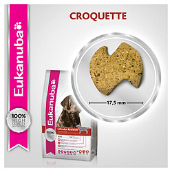 Croquettes pour chien