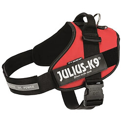 JULIUS K9 Harnais Power IDC 3-XL-XXL : 82-115 cm - 50 mm - Rouge - Pour chien