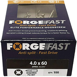 Forgefix Forffp1000y Forgefast Pozi Compatible Elite Performance Vis à bois Organiseur ? Argent, argent, FORFFP460Y