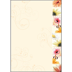 sigel Papier à motif, A4, 90 g/m2, motif 'Flowerstyle' ()