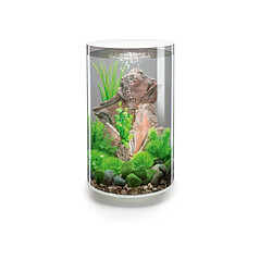 Aquarium décoratif 35l avec cadre blanc - Tube 30 LED white - OASE