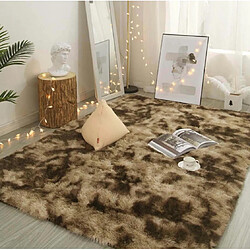 LUUCOZK Tapis à poils longs doux et moelleux pour chambre à coucher et salon - Café dégradé-50 x 160cm 