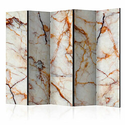 Paris Prix Paravent 5 Volets Marble Plate 172x225cm 