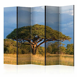 Paris Prix Paravent 5 Volets African Acacia Tree, Hwange National Park, Zimbabwe 172x225cm