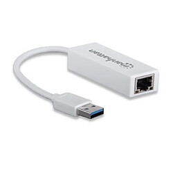 Acheter Arte Video Manhattan 506731 Adaptateur USB 2.0 Blanc