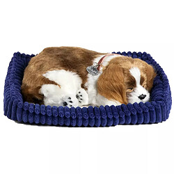 Perfect Petzzz Chien Cavalier King Charles