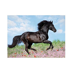 Puzzle 200 pieces XXL Etalon noir - Enfant - Paysage et nature - Des 8 ans - 12803 - Ravensburger