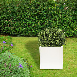 Acheter WellHome Rotomold blanc en polyéthylène de polyéthylène 50x50 cm